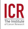 The Institute of Cancer Research (ICR) 