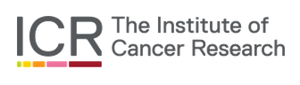 the institute of cancer research