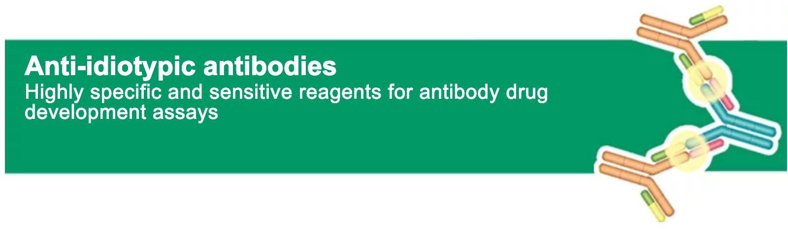Bio-Rad-Introduces-Anti-Eculizumab-Antibodies