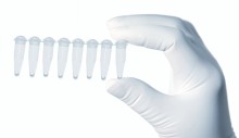 Pcr Beads