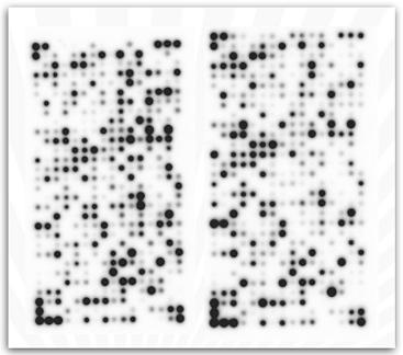 Ideal controls for PCR, RNA microarray & antibody array studies