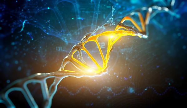 isolate protein-DNA complexes