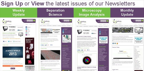 new all Newsletter Banner