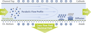 Electrical Asymmetrical Flow Field Flow Fractionation
