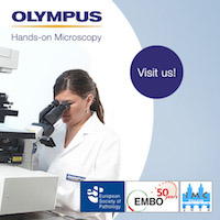 Hands-on microscopy