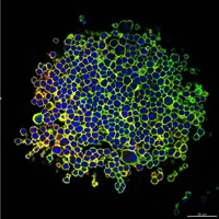 3D Insight into drug discovery with Tecans Infinite M200 PRO