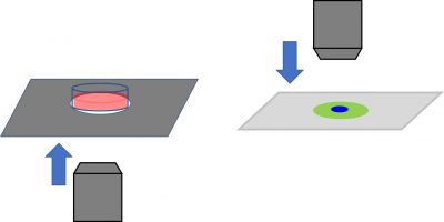 remote-microscopy-guide-6-tips-set-up-your-lab-success