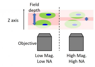 remote-microscopy-guide-6-tips-set-up-your-lab-success