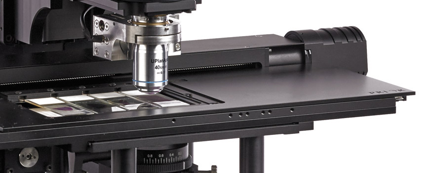 automate-your-microscope-motorized-xy-and-z-stages