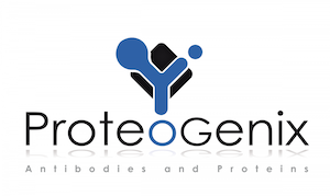 proteogenix-announces-new-human-covid19-antibody
