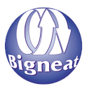 Bigneat logo