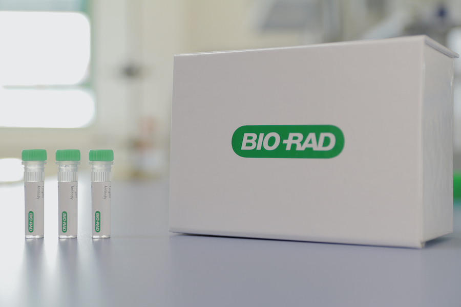 biorad-launches-anticertolizumab-pegol-antibodies