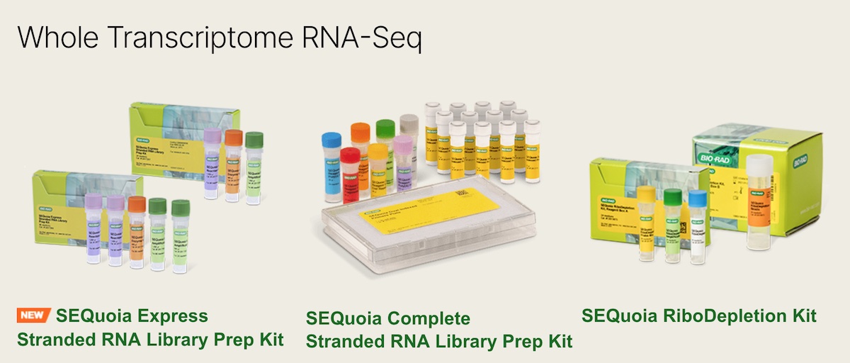 biorad-and-element-biosciences-partner-deliver-seamless