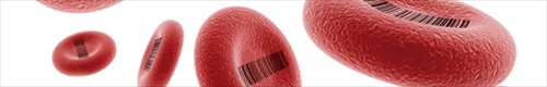 Blood Management Logo header