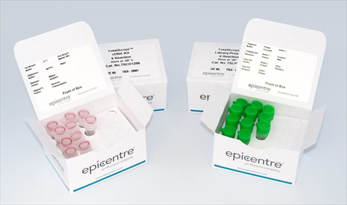 TotalScript RNA Seq kit