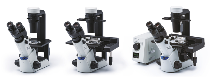 CKX53 microscope