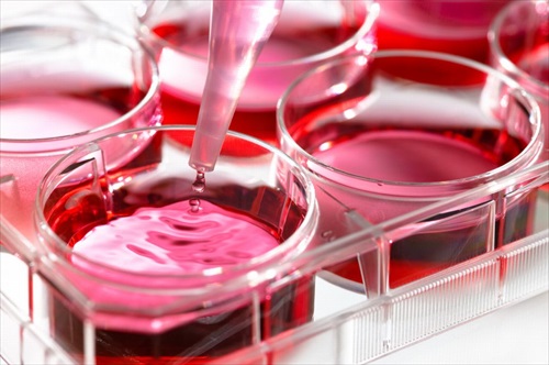Cell culture - NMR for QbD biologics development