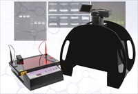 DNA gel Electrophoresis AB13-610