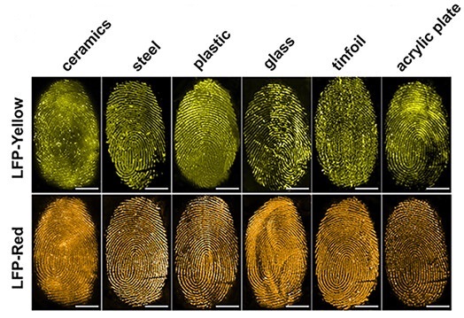 forensics-spray-uses-jellyfish-protein-detect