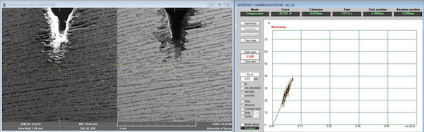 university-surrey-perform-insitu-and-correlative