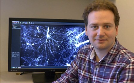 Dr Nicolas Renier from the Rockefeller University, NY, with results from his LaVision BioTec UltraMicroscope light sheet microscope