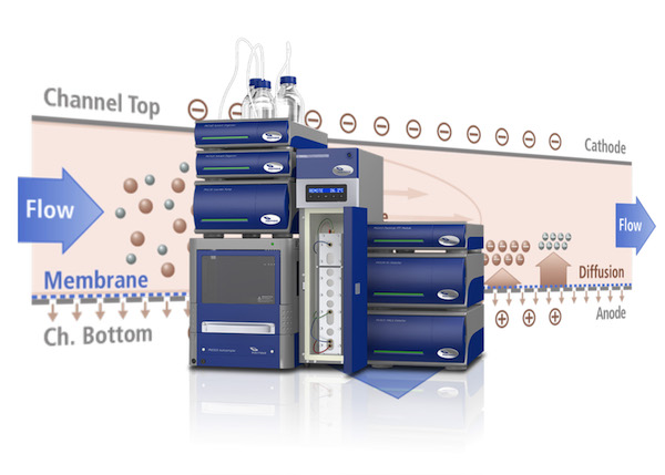 EAF2000 system