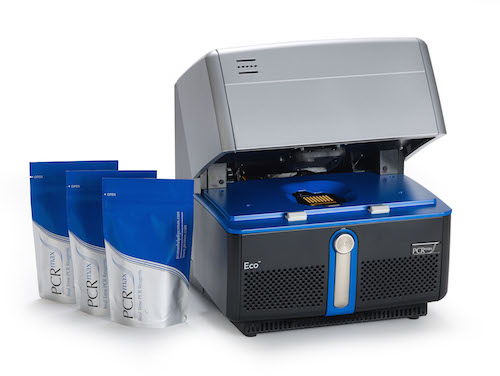 Eco 48 real time PCR system
