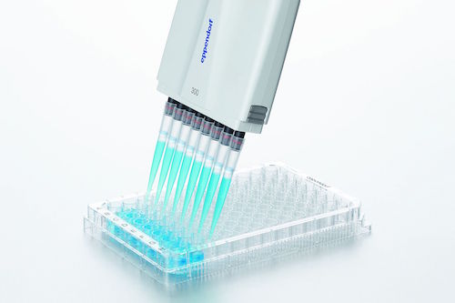 Eppendorf pipettes