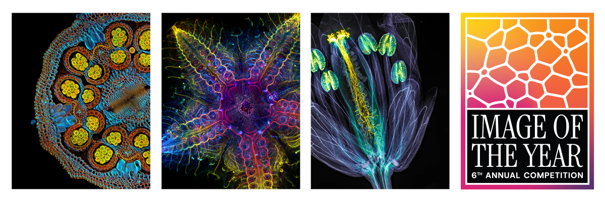 evident-launches-sixth-annual-image-the-year-contest