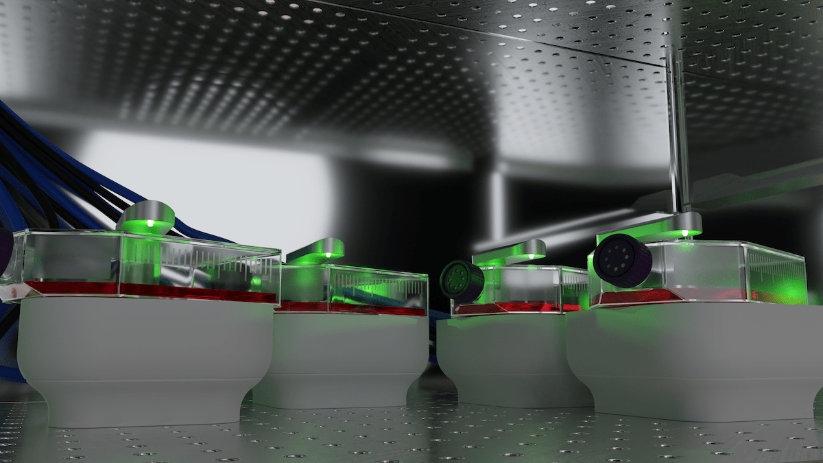 cytosmart-expands-longterm-fluorescence-livecell