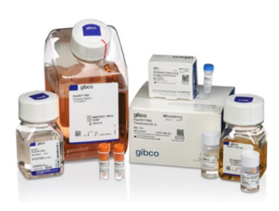 Gibco™ Expi293™ PRO Expression System