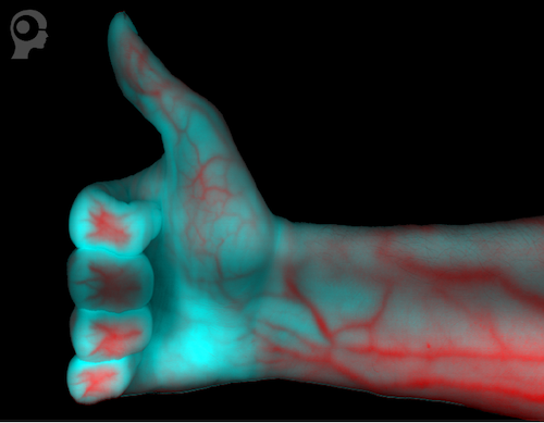 Hyperspectral hand