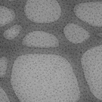 Image of yeast mutant ribosome suspension on GO support film