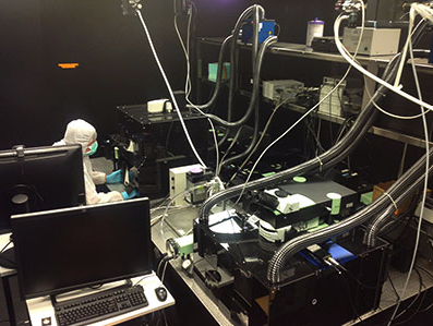 Intravital Microscopy facility