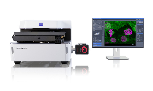 gentle-3d-live-cell-imaging-zeiss-lattice-lightsheet-7