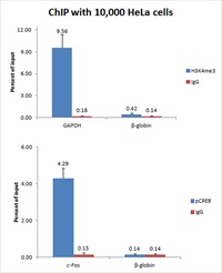 Magna ChIP® HiSens Chromatin Immunoprecipitation Kits  