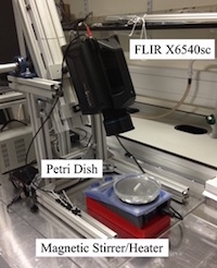 Magnetic Stirrer