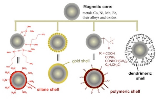 new-magnetic-beads-modification-service