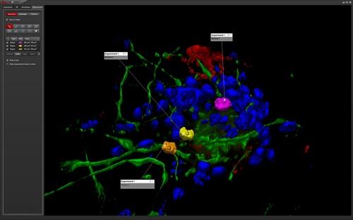 Leica Application Suite Advanced Fluorescence (LAS AF) 3.2