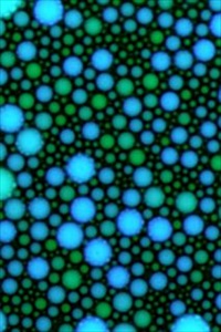 Micron-sized droplets of an emulsion form, the reaction vessels for a complex, oscillating reaction 