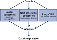 Molecular Array Workshop