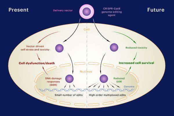 harvards-wyss-institute-joins-forces-cytosurge-improve