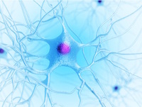 Neurodegenerative tauopathies