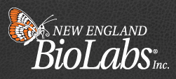 New England Biolabs