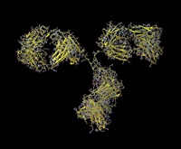 New Malvern data demonstrate monoclonal antibody characterization using the Viscotek SEC-MALS 20 