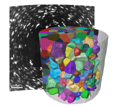 Non-destructive LabDCT 3D grain structure of iron