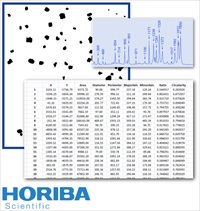 ParticleFinder Raman Software