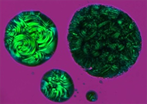 Phthalocyanine solid and liquid crystal phases