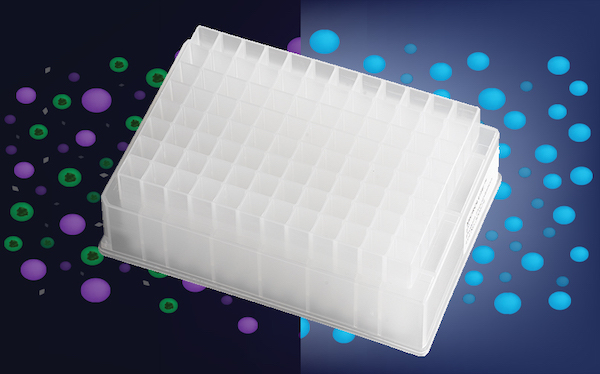  Porvair Sciences P3 microplate