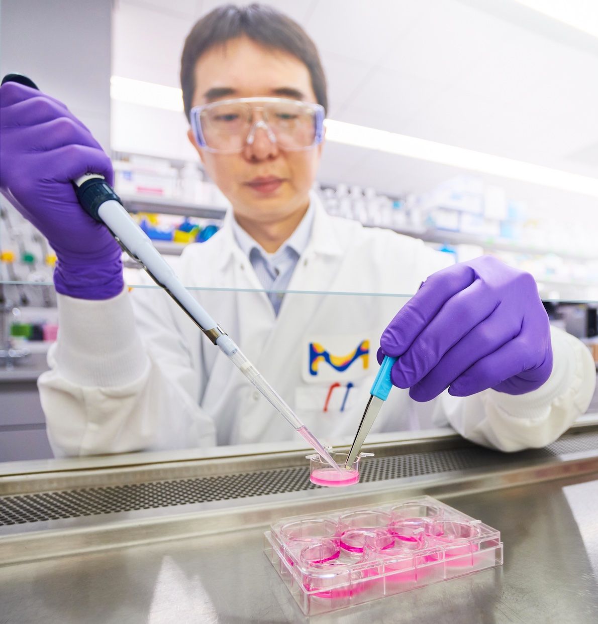 merck-partners-promega-advance-3d-cell-drug-discovery